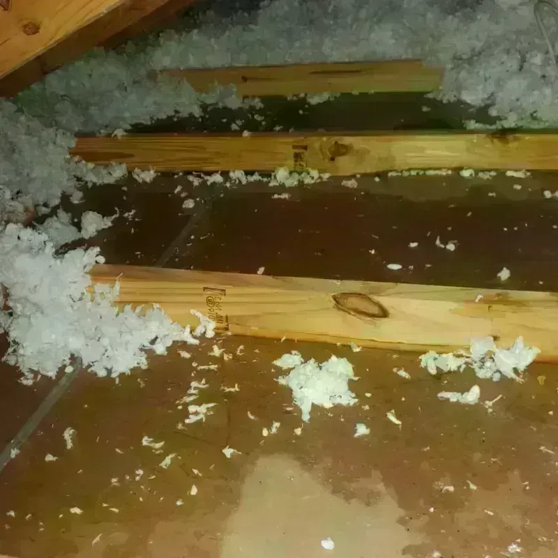 Attic Water Damage in Greenport, NY